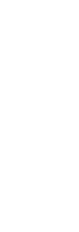 Exolon Symbol
